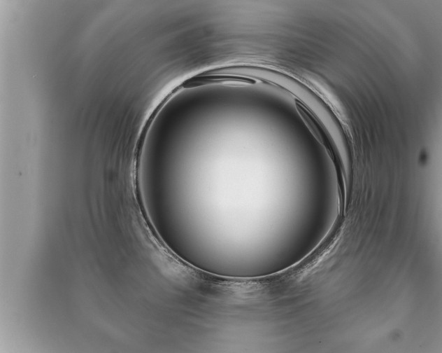 X0000091061340200708131121
