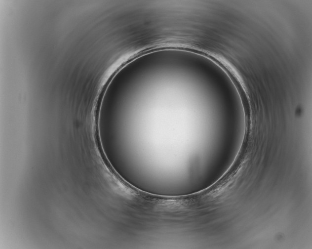 X0000091061341200708131121
