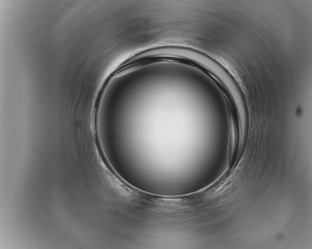 X0000091061342200708131121