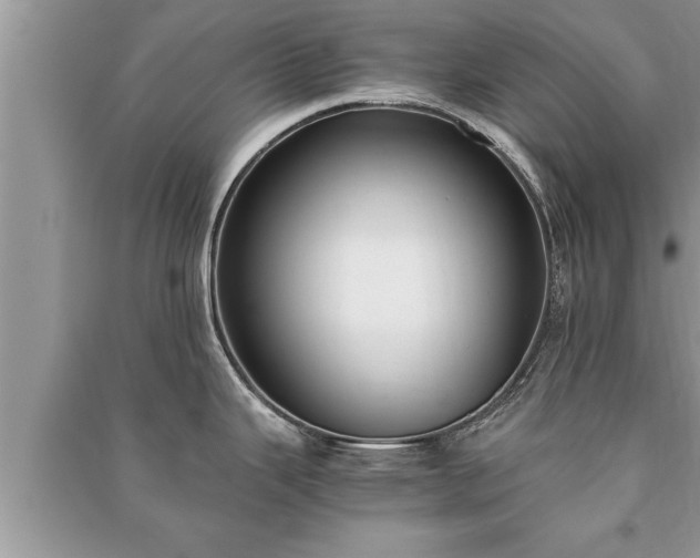 X0000091061343200708131121
