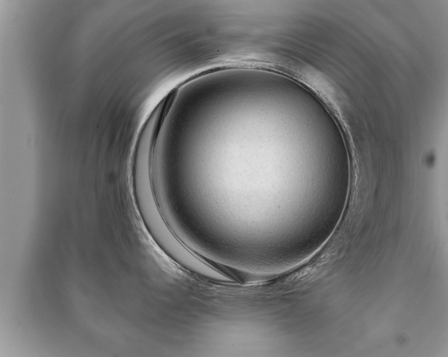 X0000091061344200708131121