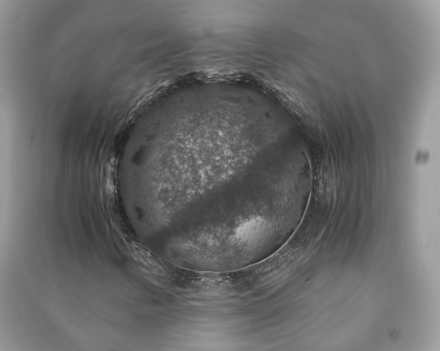 X0000091061346200708131121