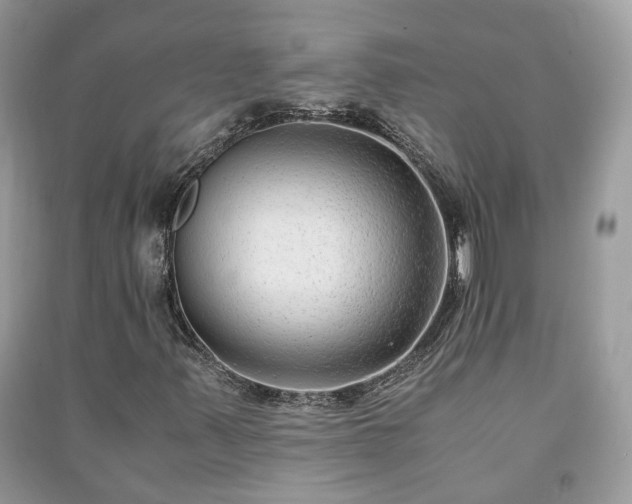 X0000091061347200708131121