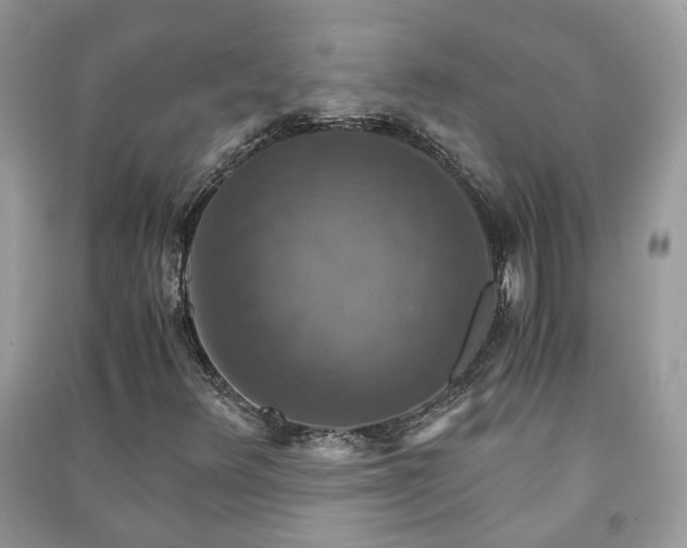 X0000091061348200708131120