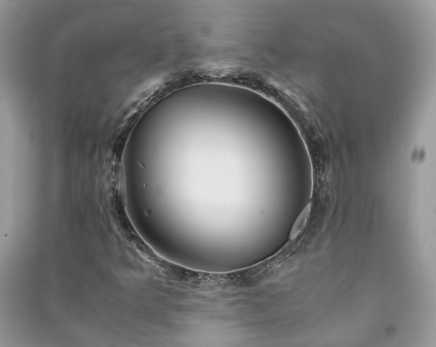 X0000091061349200708131120