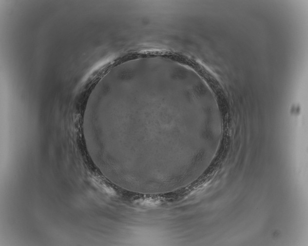 X0000091061351200708131120