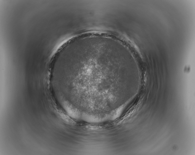 X0000091061352200708131120
