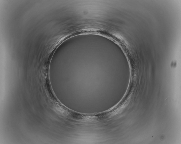 X0000091061353200708131120