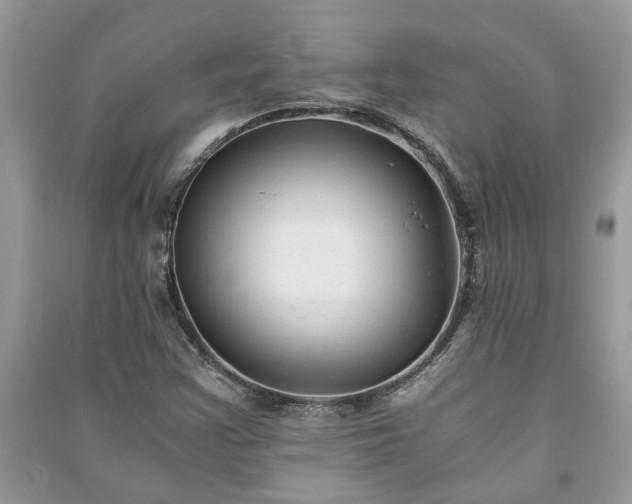 X0000091061355200708131120