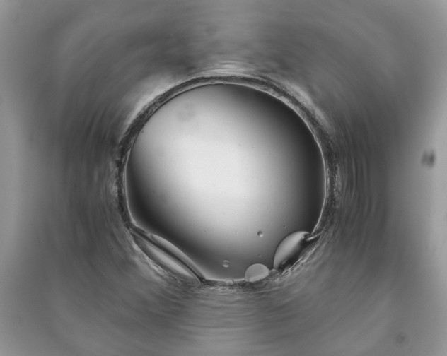 X0000091061356200708131120