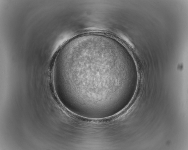 X0000091061357200708131120