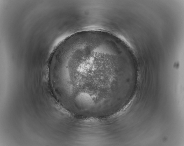 X0000091061358200708131120