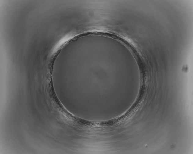 X0000091061359200708131120