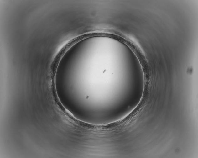 X0000091061360200708131120