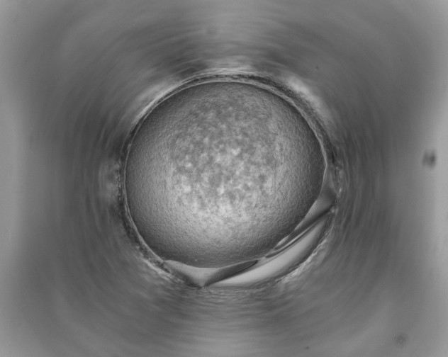 X0000091061361200708131120