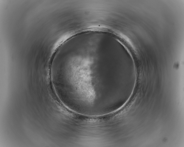 X0000091061362200708131120