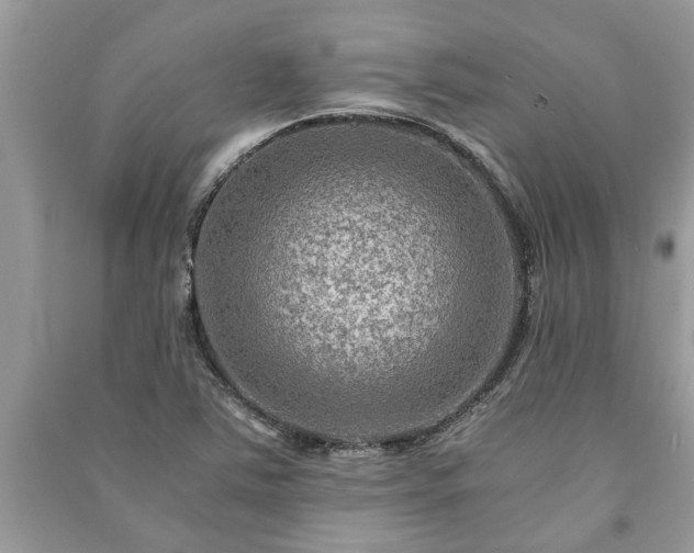 X0000091061363200708131120
