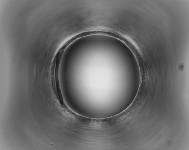 X0000091061364200708131120