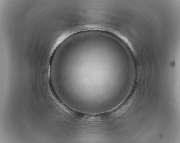 X0000091061365200708131120