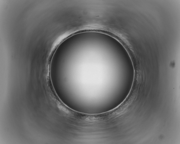 X0000091061366200708131120