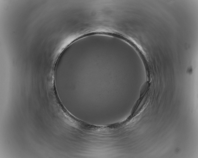 X0000091061367200708131120