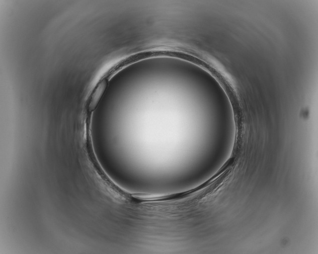 X0000091061368200708131120