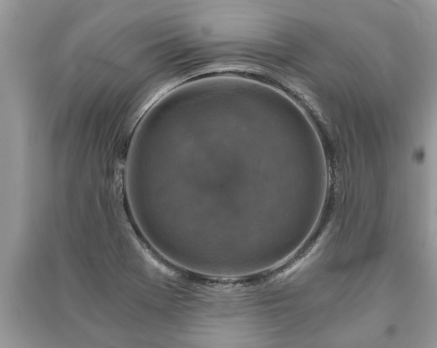 X0000091061369200708131120