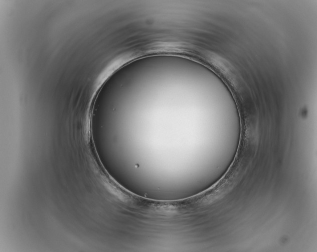 X0000091061370200708131120