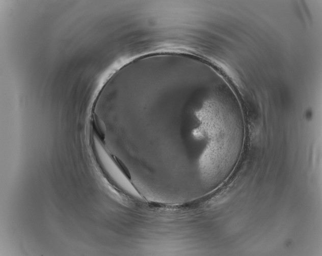 X0000091061371200708131120