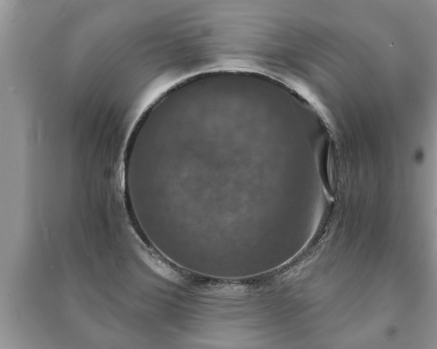 X0000091061372200708131120