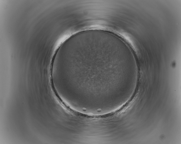 X0000091061373200708131120