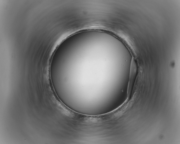 X0000091061374200708131120