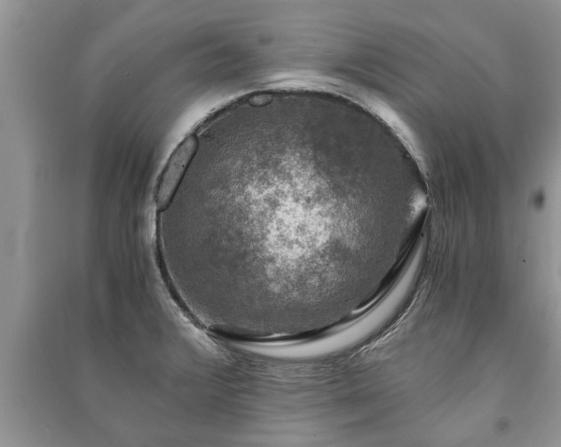 X0000091061376200708131120