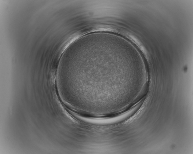 X0000091061377200708131120