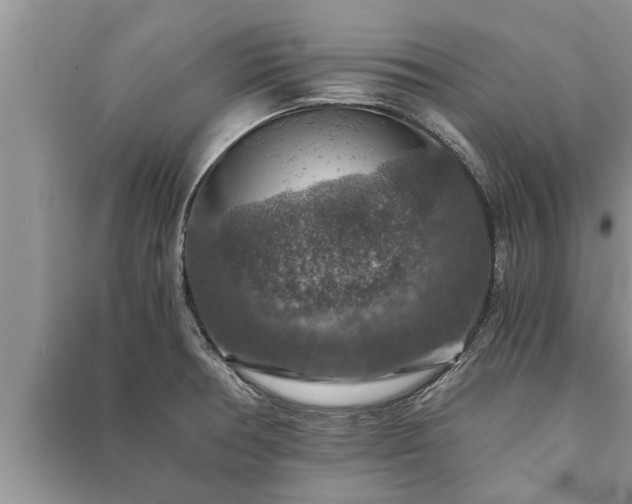 X0000091061378200708131120