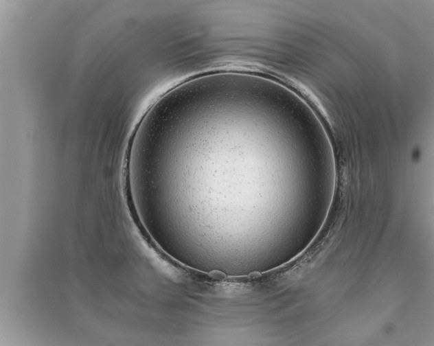 X0000091061379200708131120