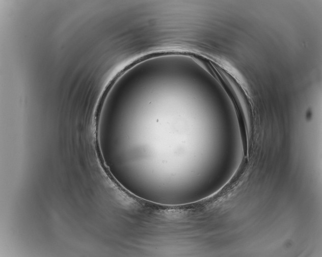 X0000091061380200708131120
