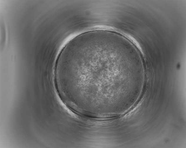 X0000091061381200708131120