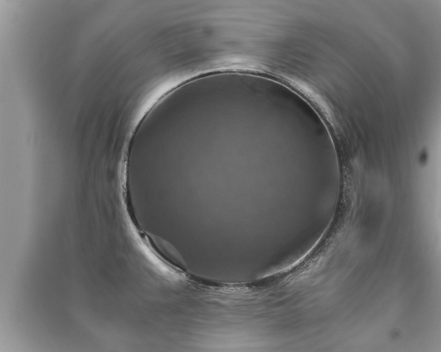 X0000091061383200708131120