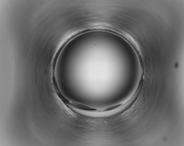 X0000091061384200708131120