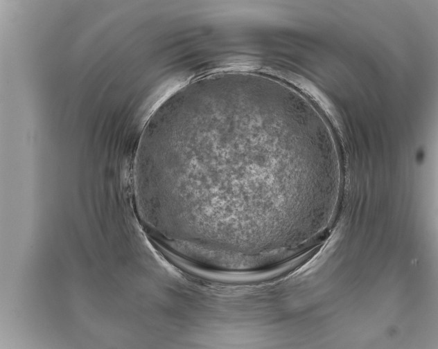 X0000091061385200708131120
