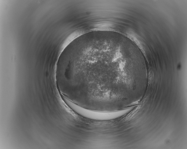 X0000091061386200708131120