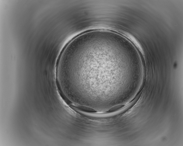 X0000091061388200708131120
