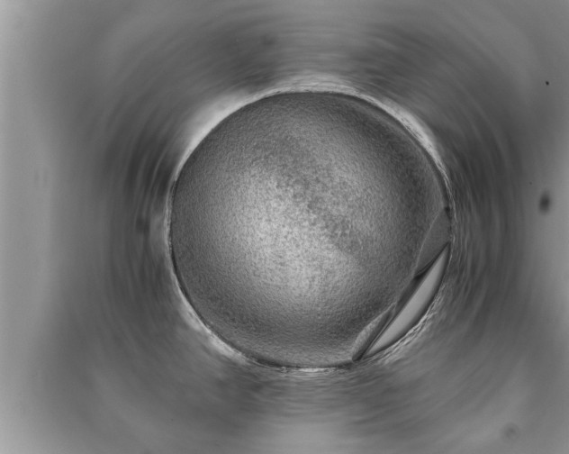 X0000091061390200708131120