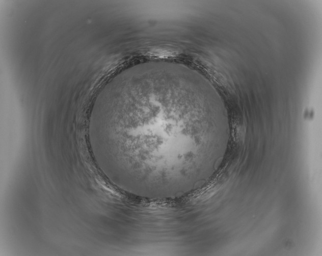 X0000091061393200708131119