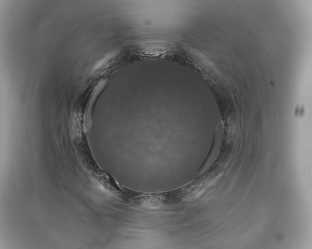 X0000091061394200708131119