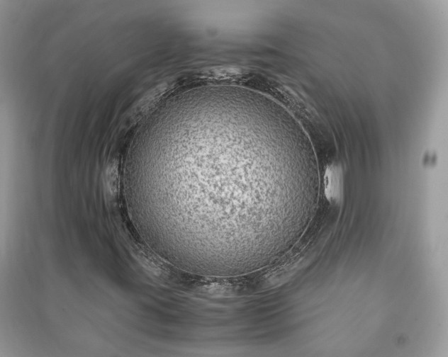 X0000091061395200708131119