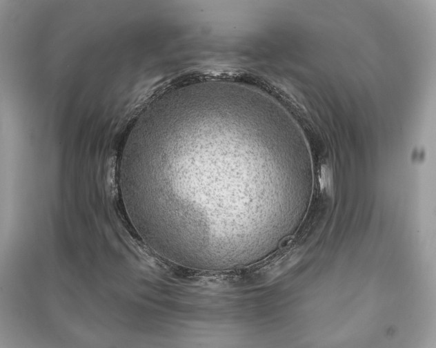 X0000091061396200708131119