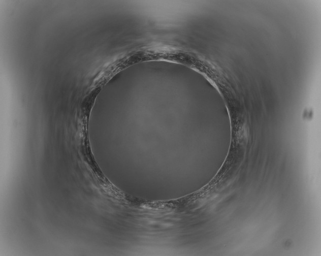 X0000091061397200708131119