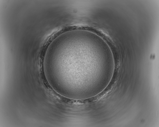 X0000091061398200708131119